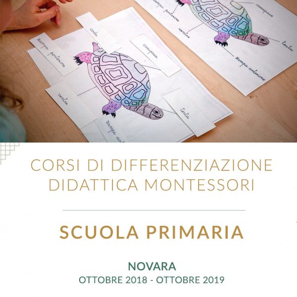 Corso di differenzazione didattica per docenti della Scuola primaria - Novara
