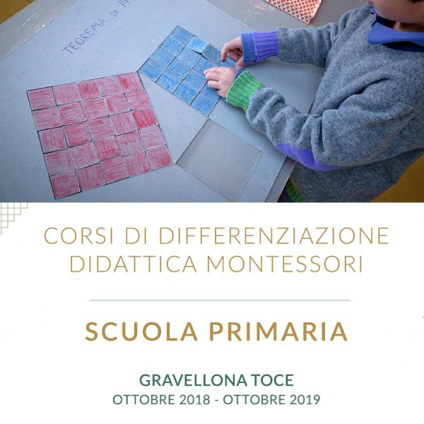 Corso di differenzazione didattica per docenti della Scuola primaria - Gravellona